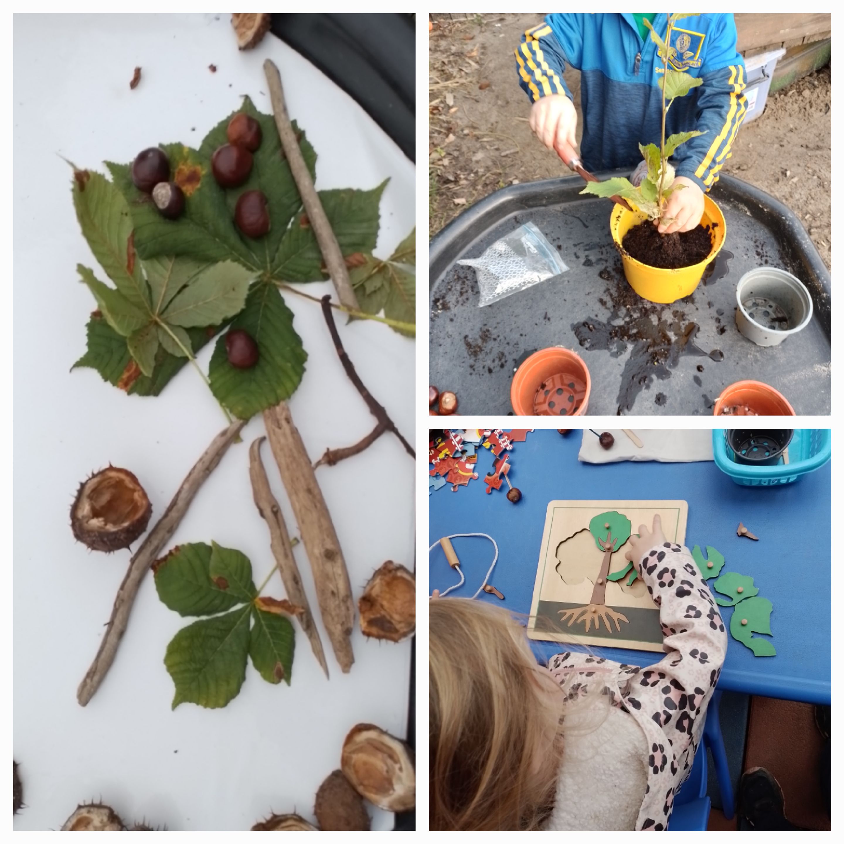 Planting and exploring